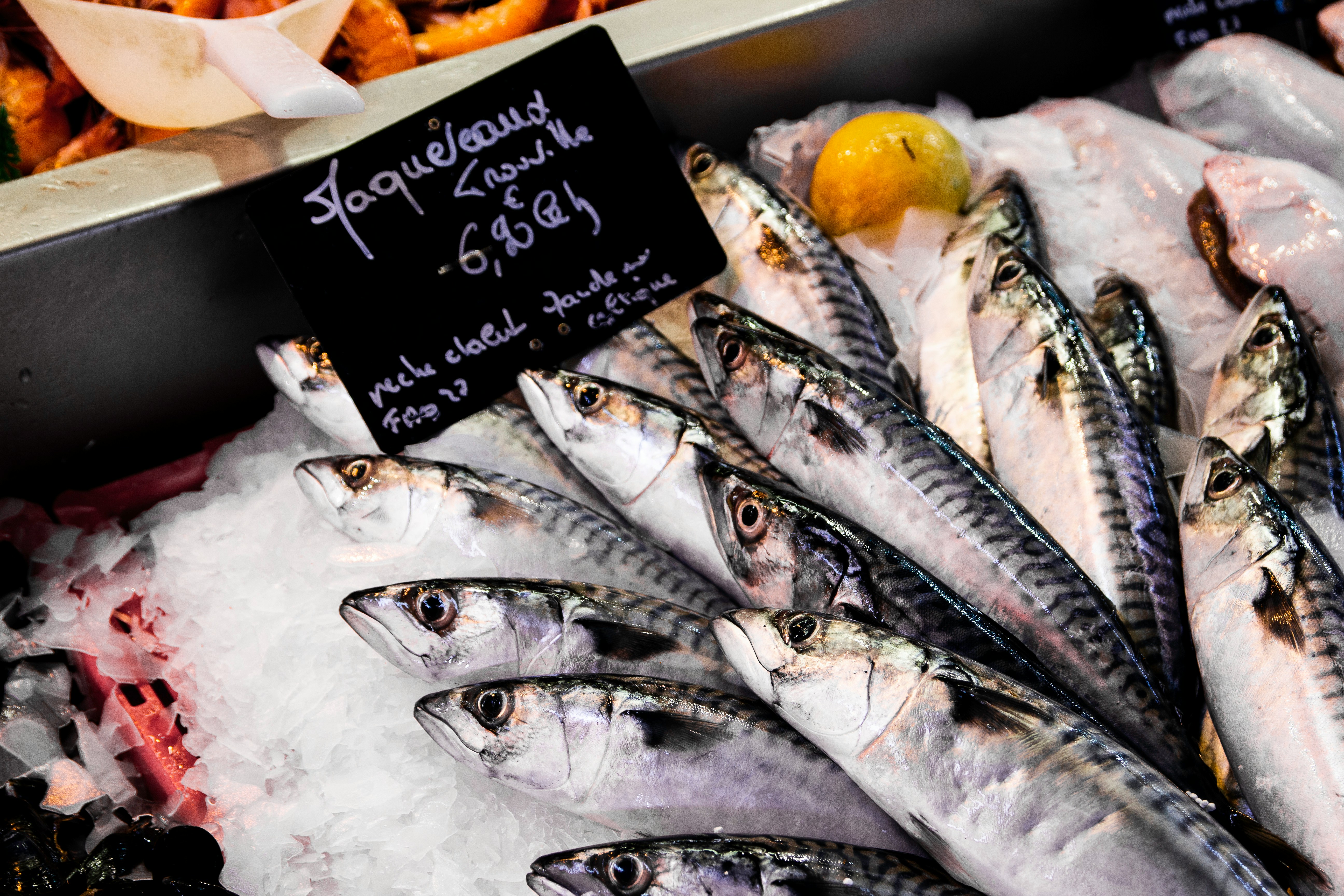 Poissons