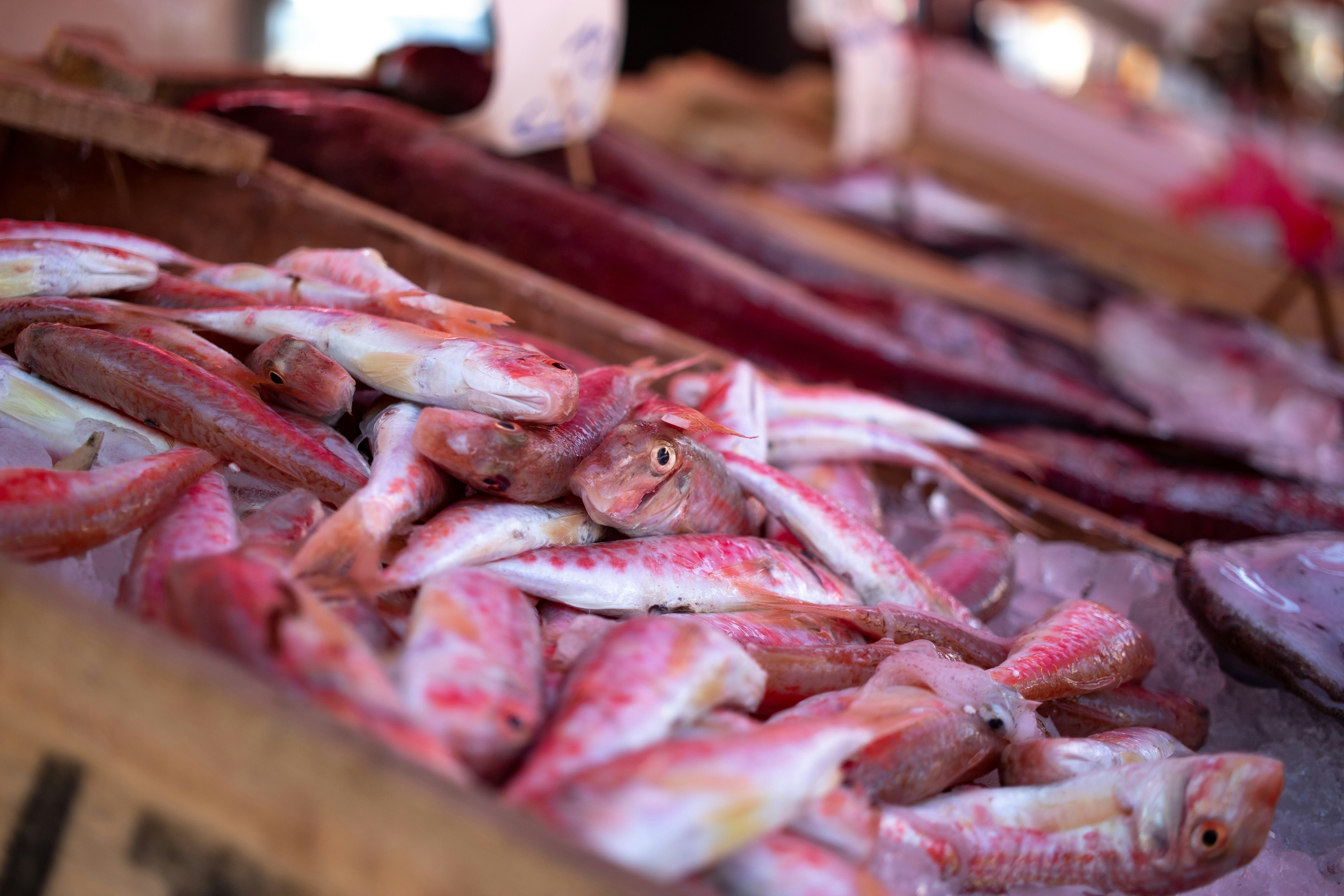 Poissonnerie